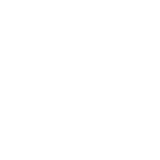 Race Chip
