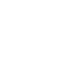 Koni