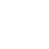 Allegri Automotive